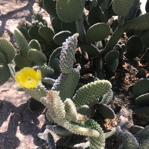 Meet your Posher, Diana